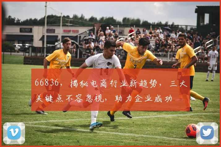 66836，揭秘电商行业新趋势，三大关键点不容忽视，助力企业成功