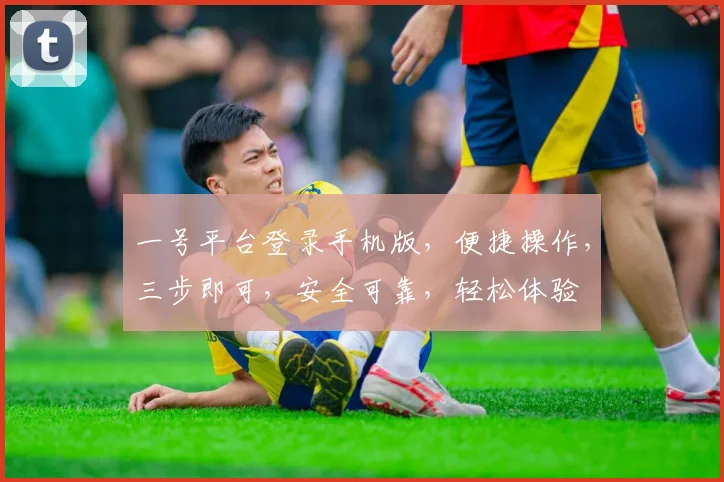 一号平台登录手机版，便捷操作，三步即可，安全可靠，轻松体验