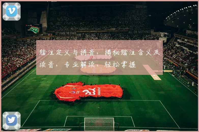赌注定义与拼音，揭秘赌注含义及读音，专业解读，轻松掌握